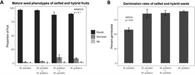 Developmental Analysis of Mimulus Seed Transcriptomes Reveals Functional Gene Expression Clusters and Four Imprinted, Endosperm-Expressed Genes